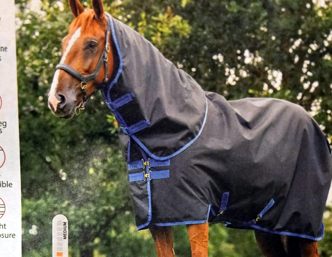 Amigo 900D, Pony & WeatherBeeta foal catalog page