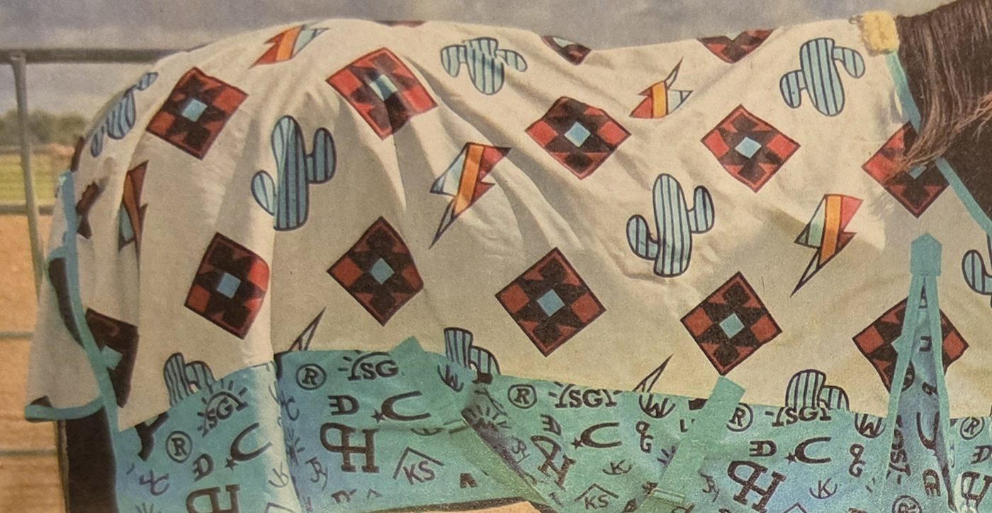 Horse wearing the Avarie Blanket