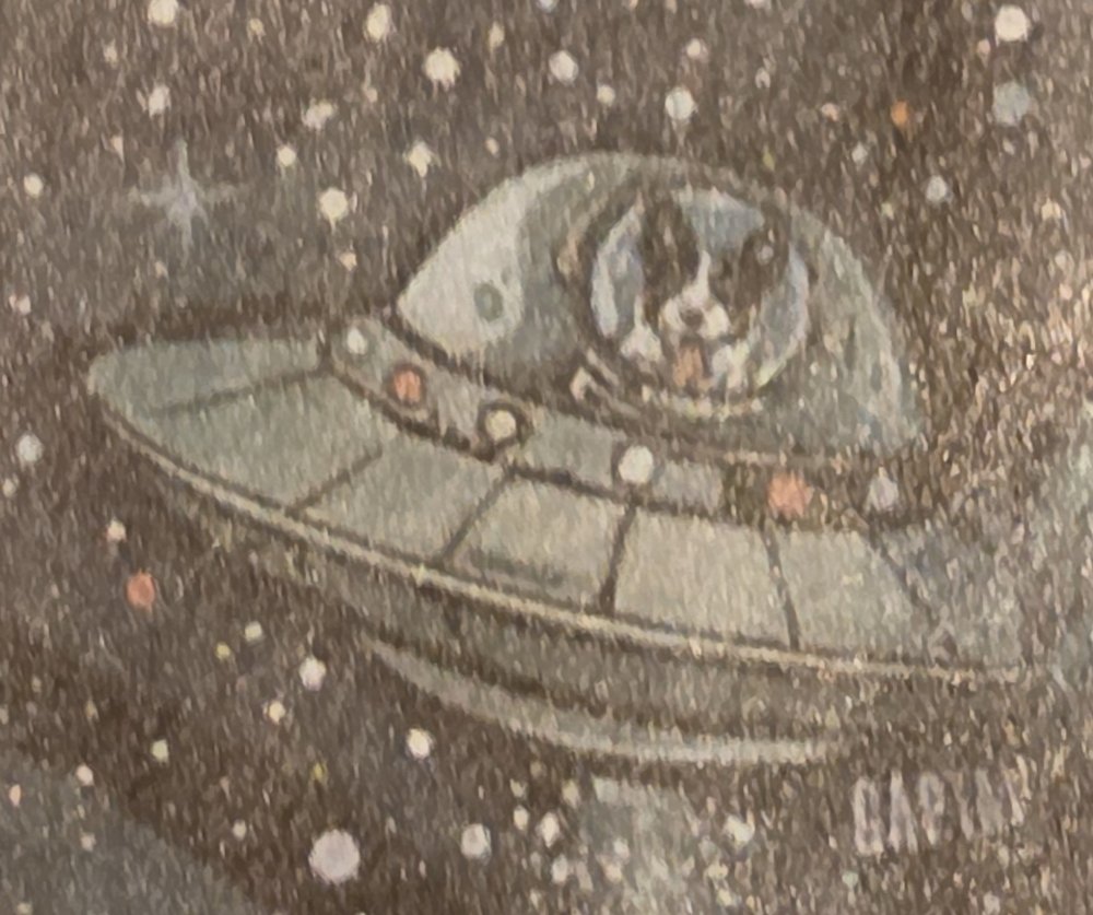 Birdie, a small black-and-white dog, flying a UFO on the Cosmic Cowgirl print