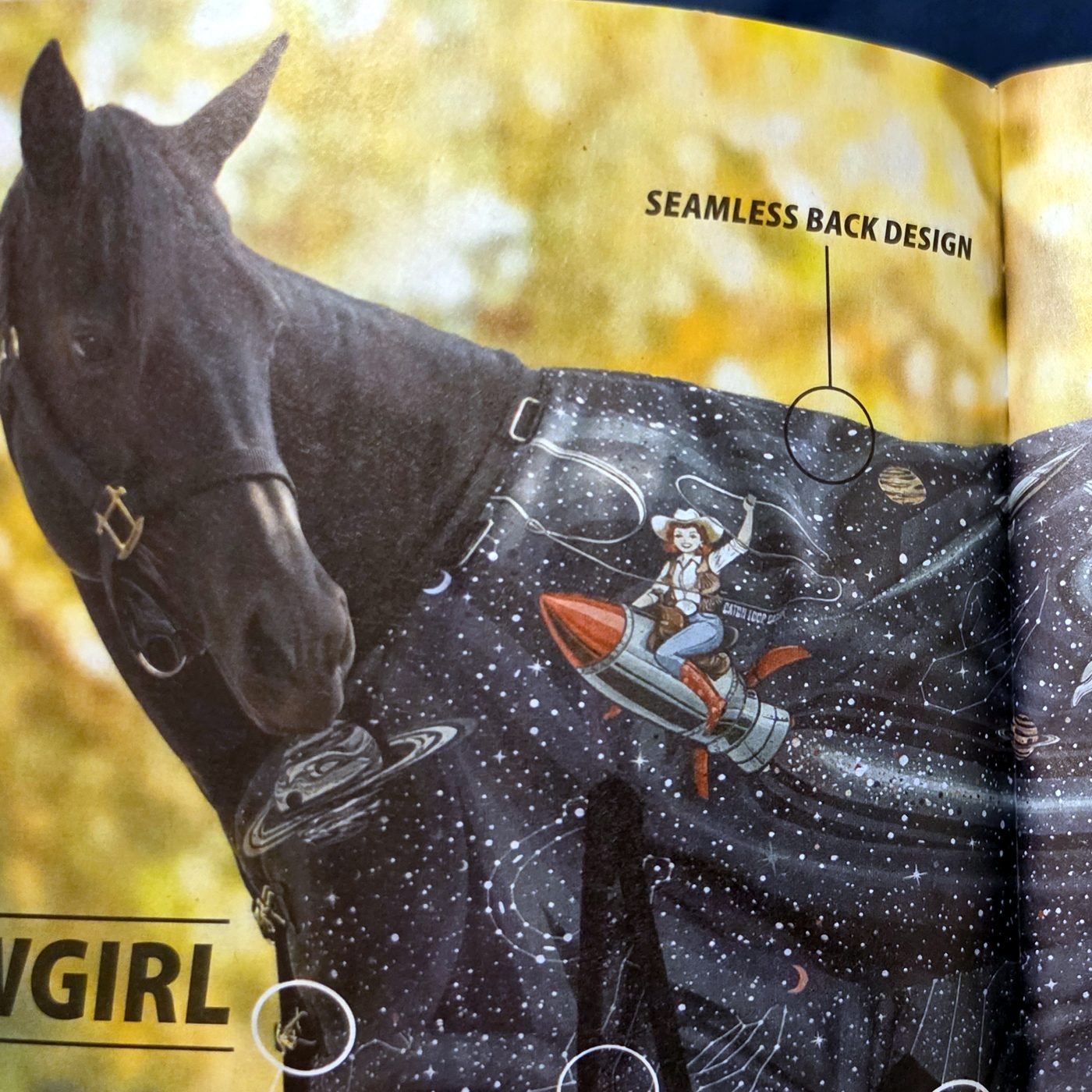 Horse wearing the Cosmic Cowgirl turnout blanket