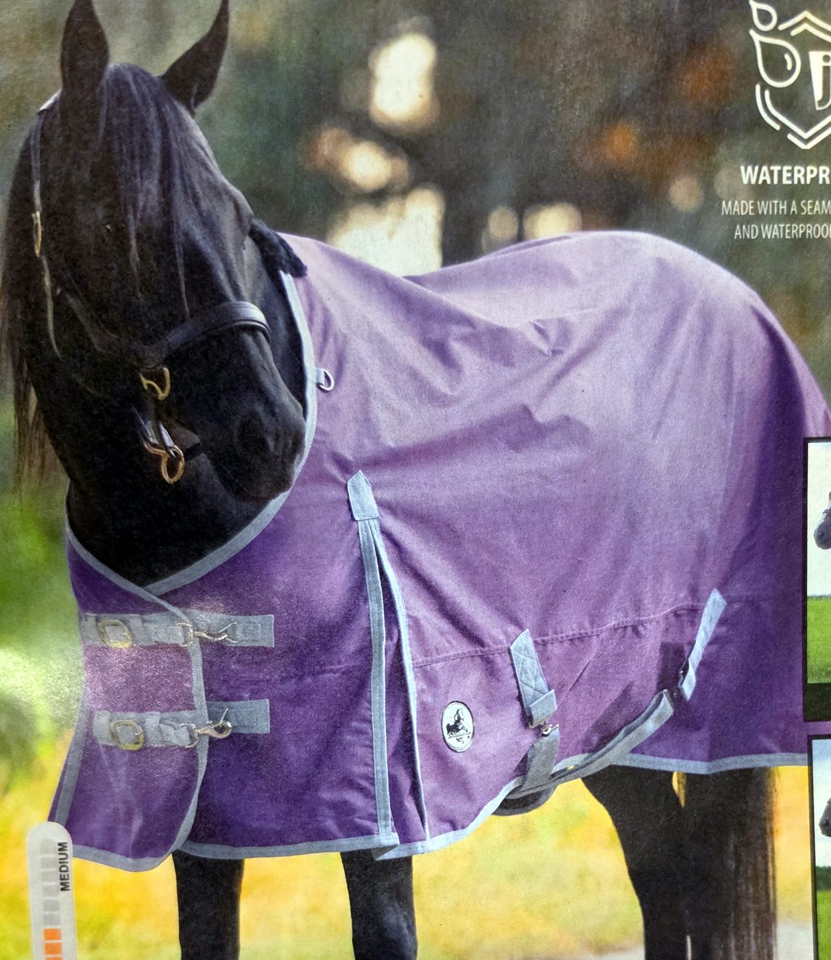 Economy 600D & Closed Front Stable catalog page
