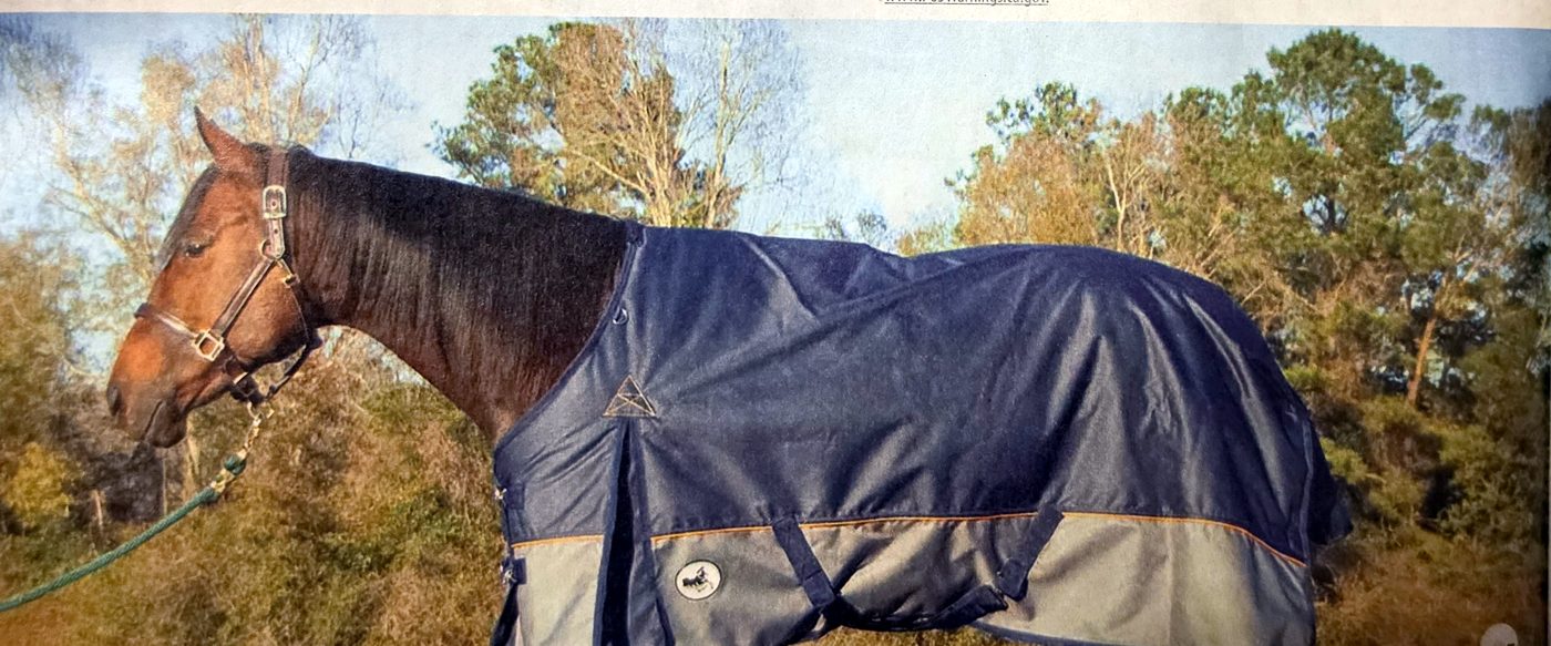 Economy Plus standard neck catalog page