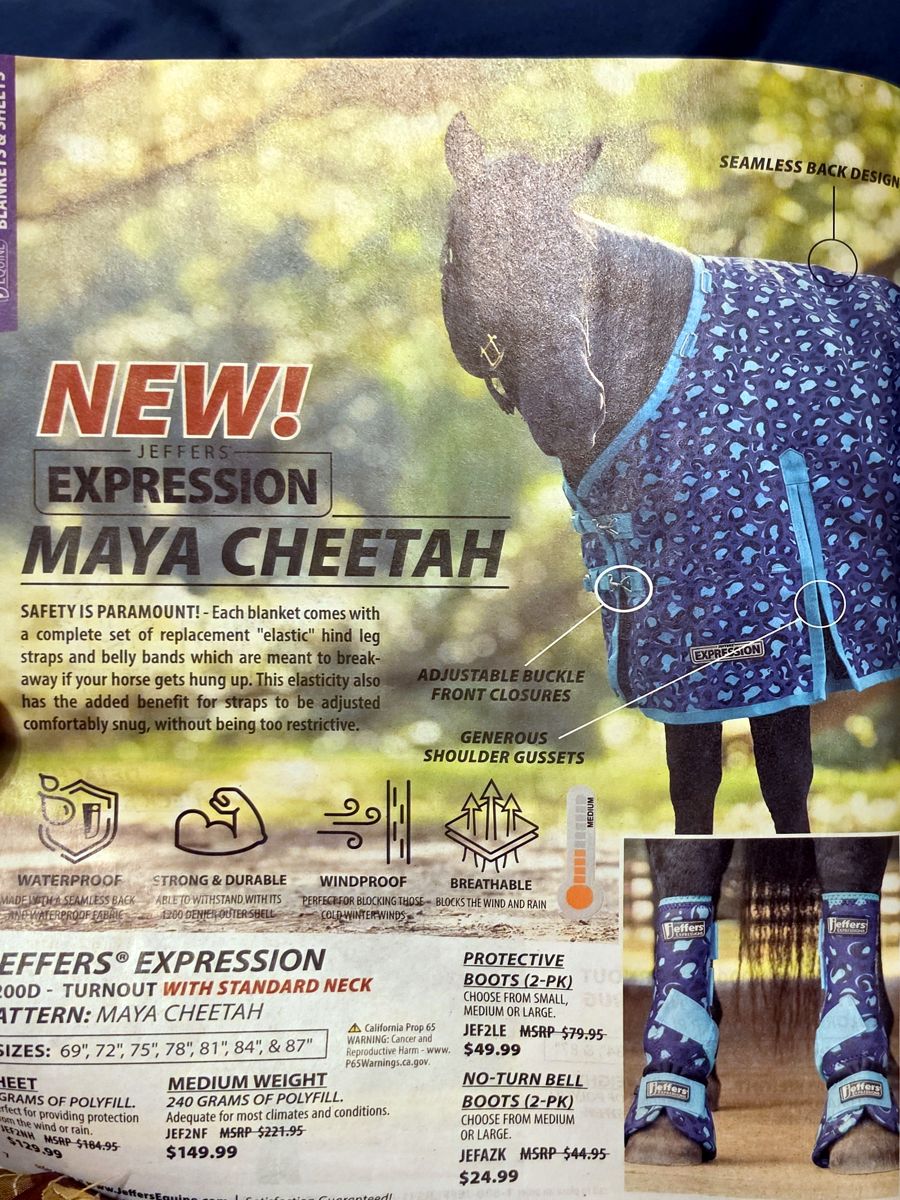 October 2026 Jeffers Equine catalog, page image 4
