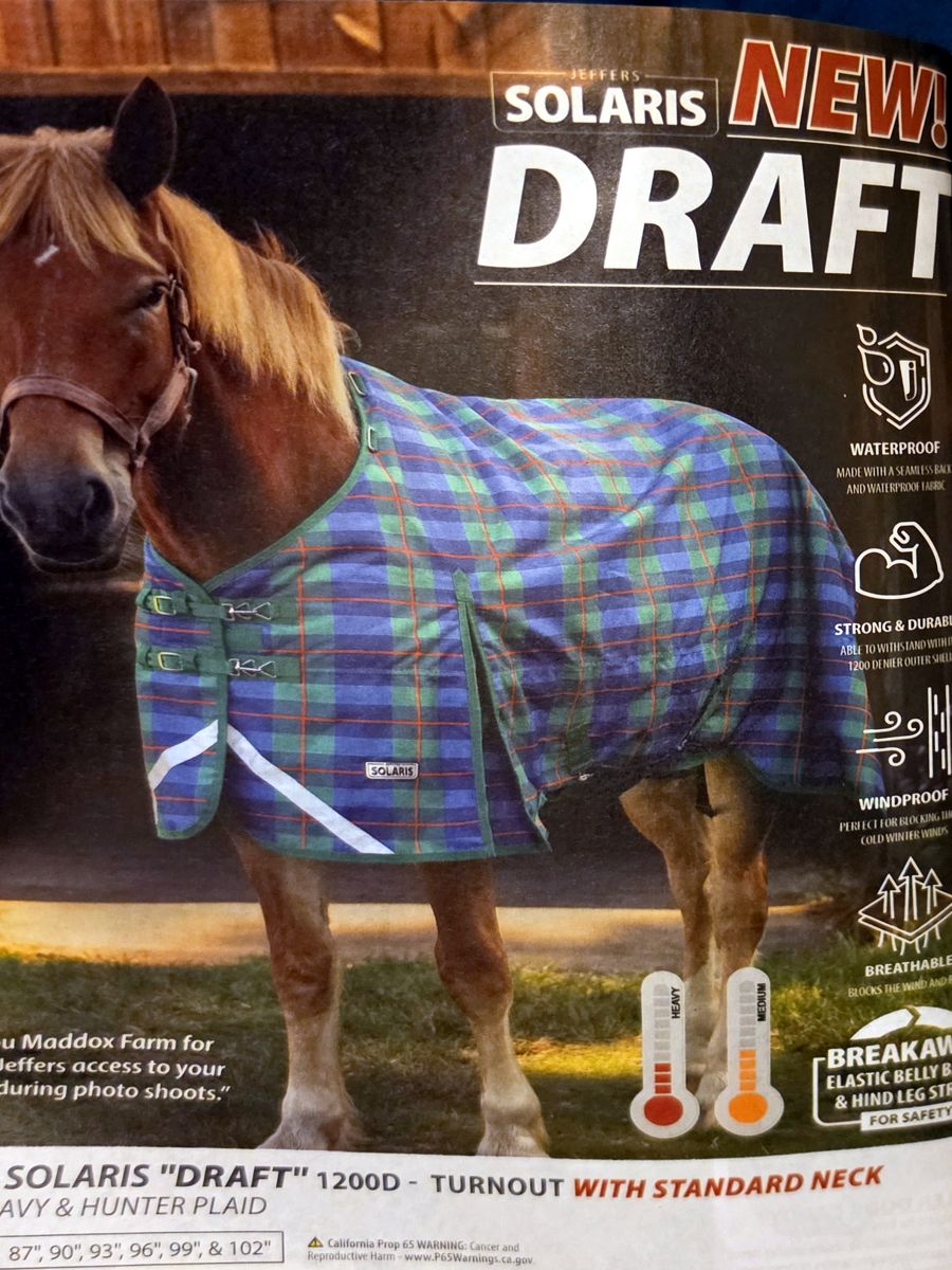 October 2026 Jeffers Equine catalog, page image 16