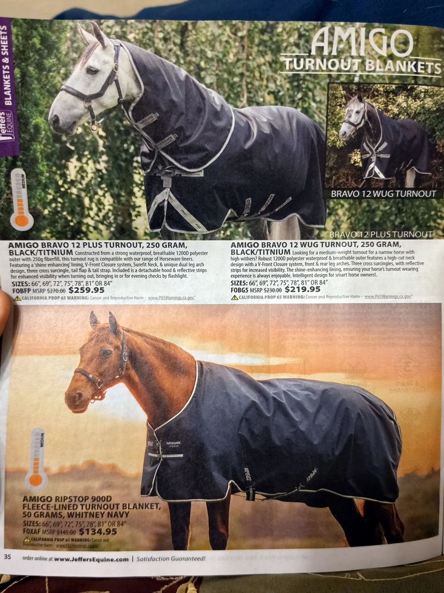 October 2026 Jeffers Equine catalog, page image 29