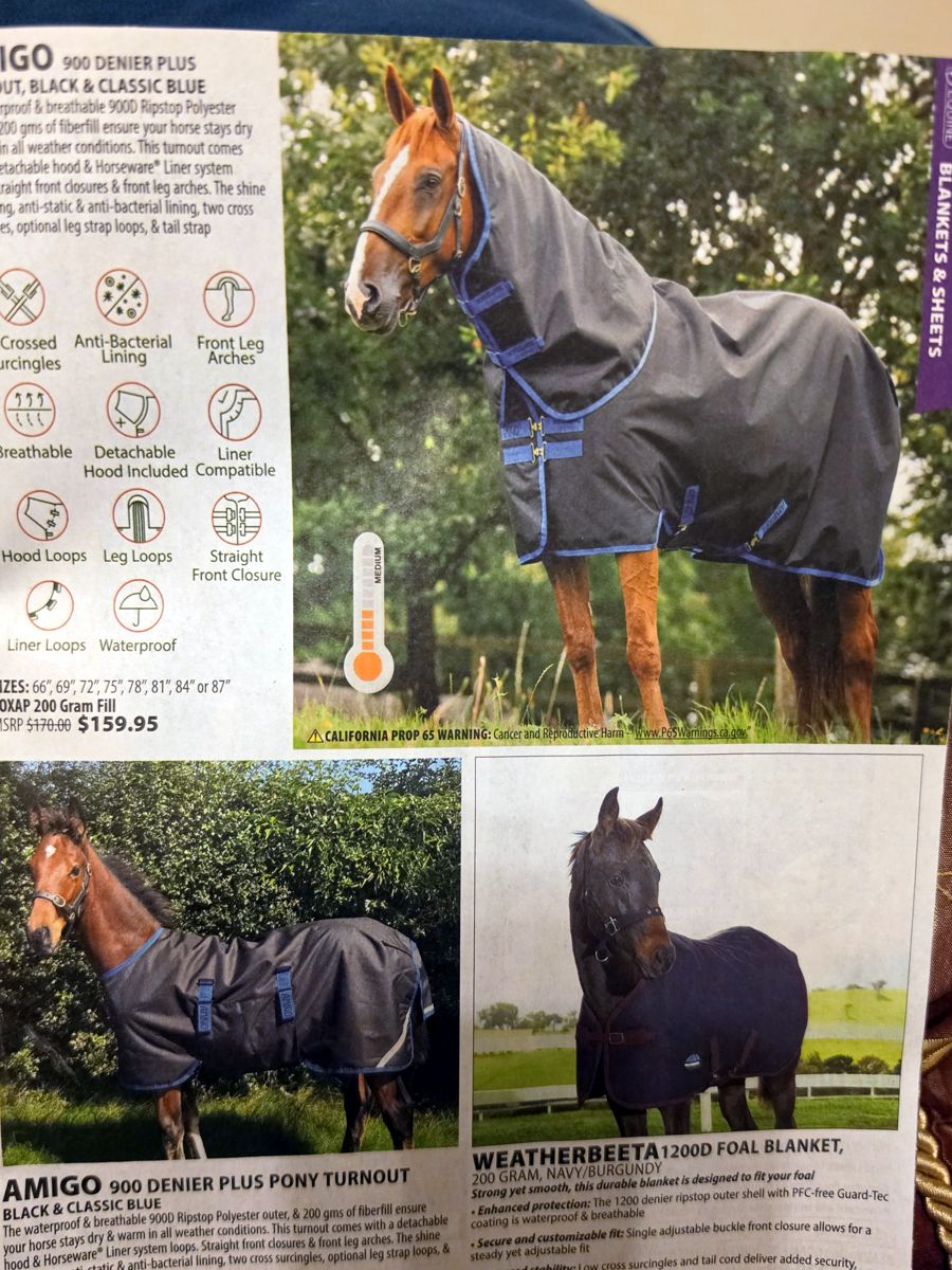 October 2026 Jeffers Equine catalog, page image 30