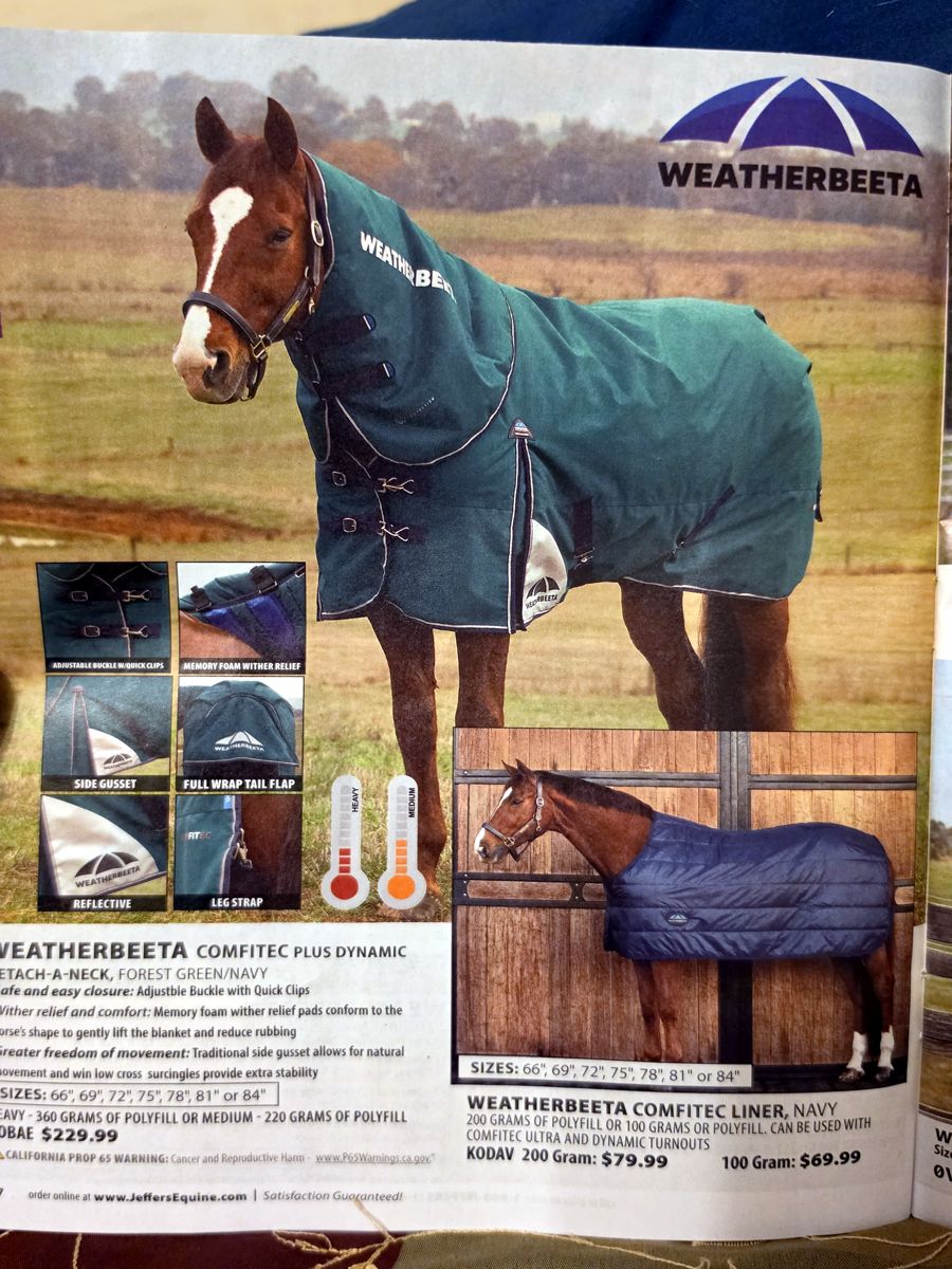 October 2026 Jeffers Equine catalog, page image 31