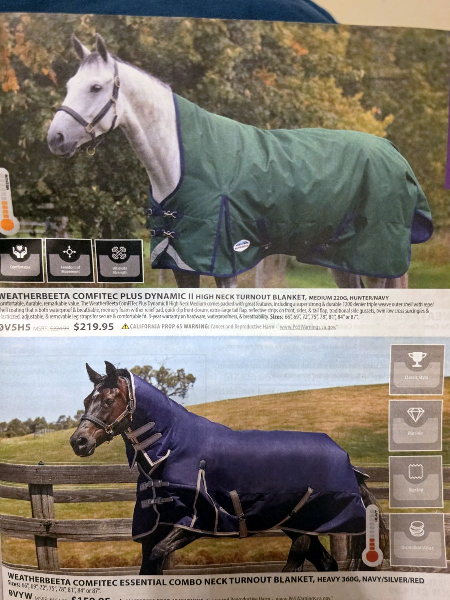October 2026 Jeffers Equine catalog, page image 32