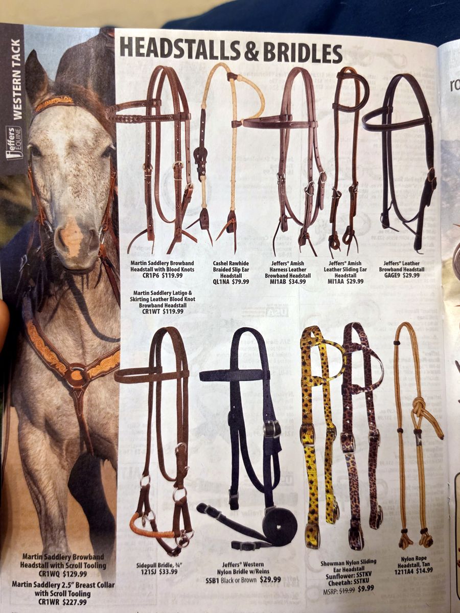 October 2026 Jeffers Equine catalog, page image 36