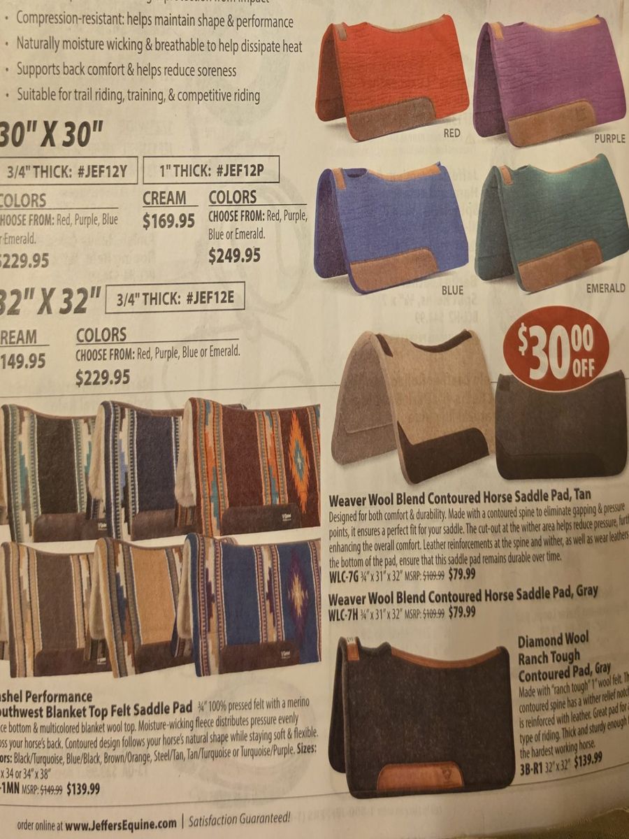 October 2026 Jeffers Equine catalog, page image 38