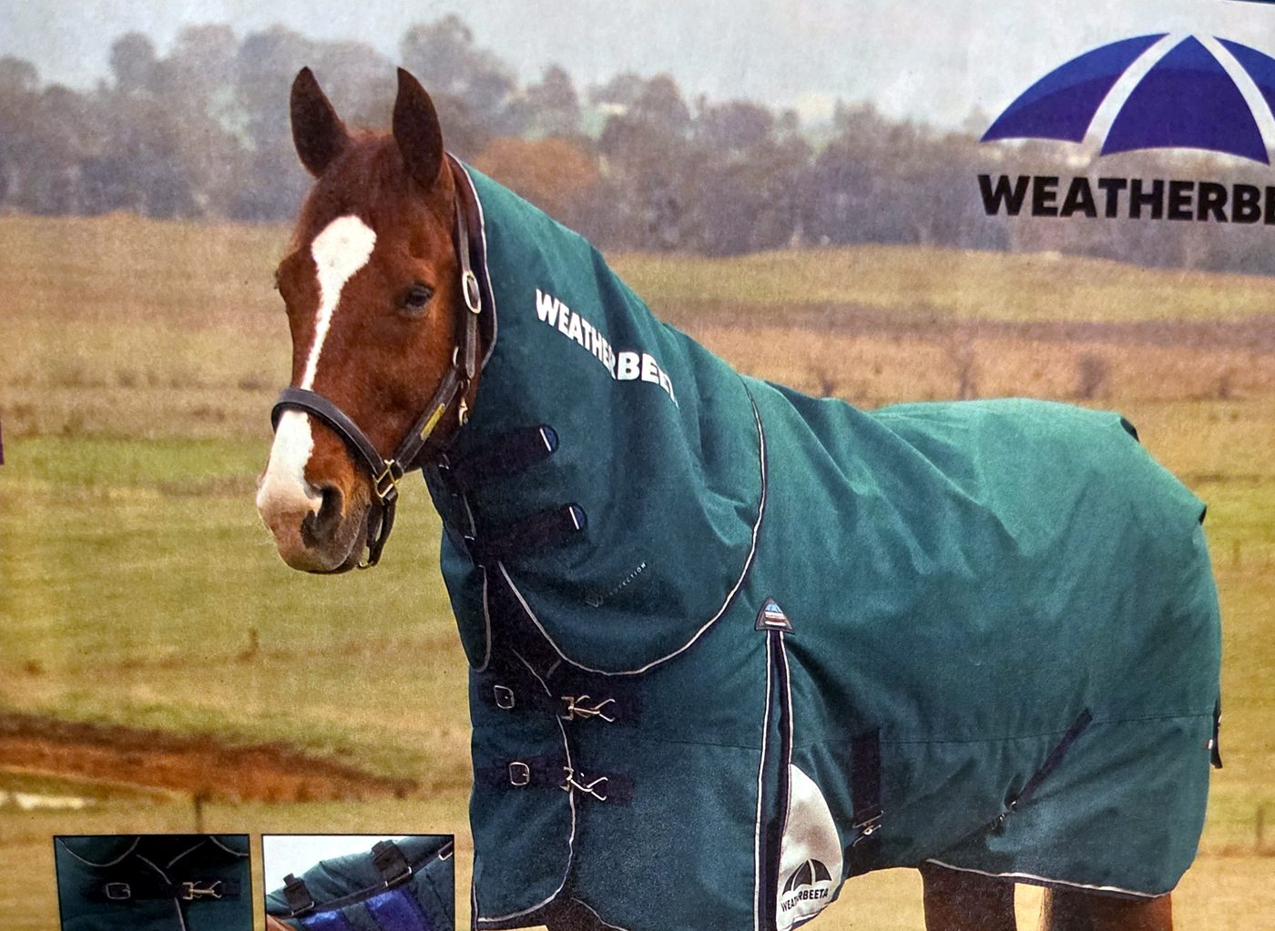 WeatherBeeta ComFiTec Plus Dynamic catalog page
